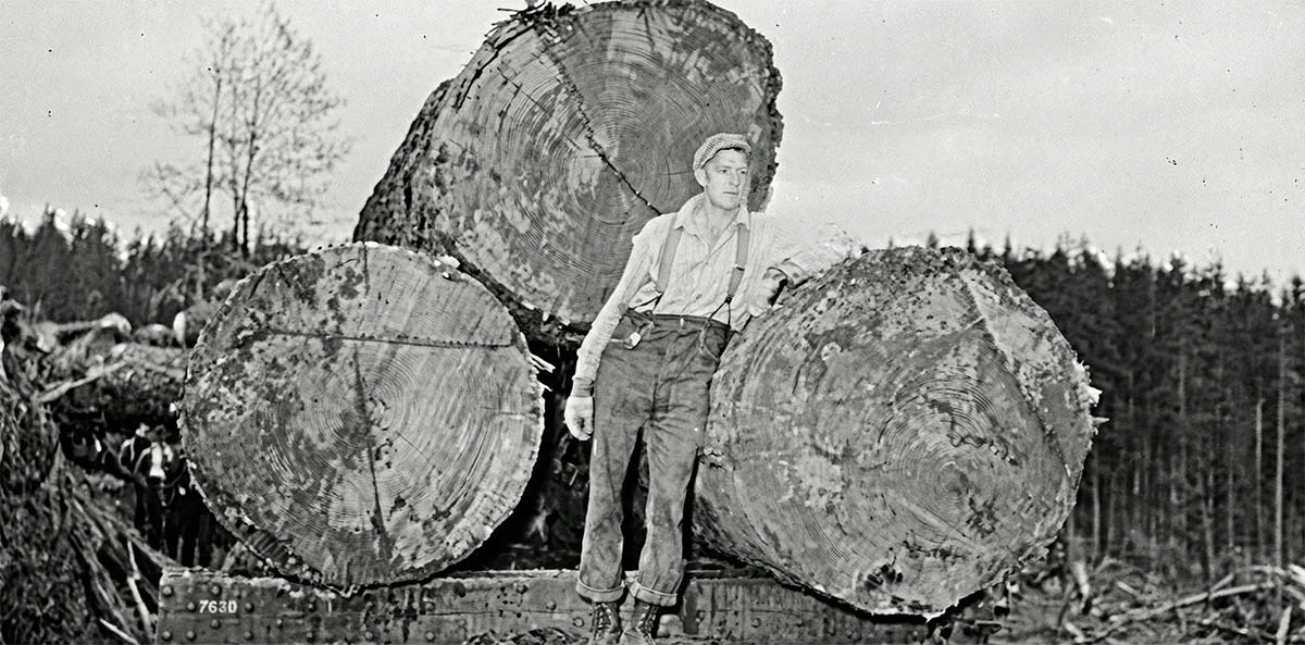 Digitally enhanced public domain photograph of an early 20th-century logger standing beside massive freshly cut timber logs during the Apache Railway construction era in Arizona.